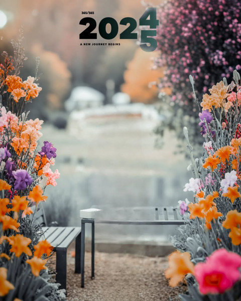 2025 Background For Picsart New Year Editing 2025 Photo