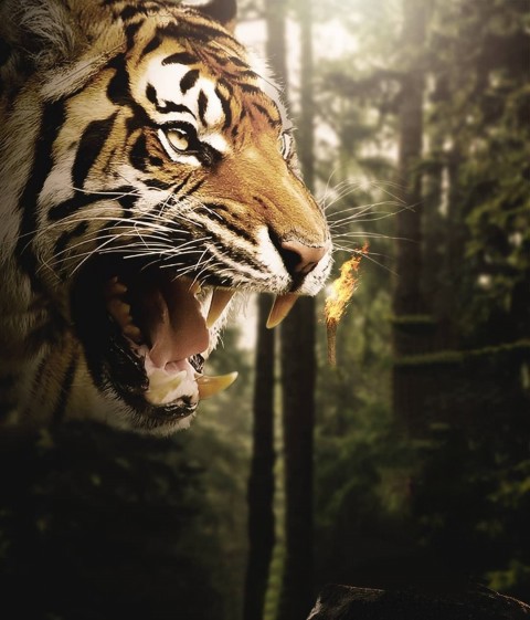 Angry Tiger Picsart Cb Edit Background