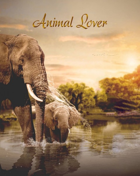 Animal Lover Elephant Cb Edit Background