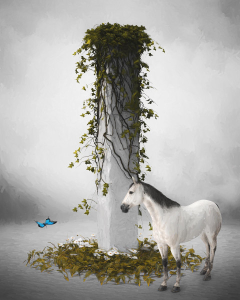 Artwork Photo Editing HD Wallpapers Download Pic