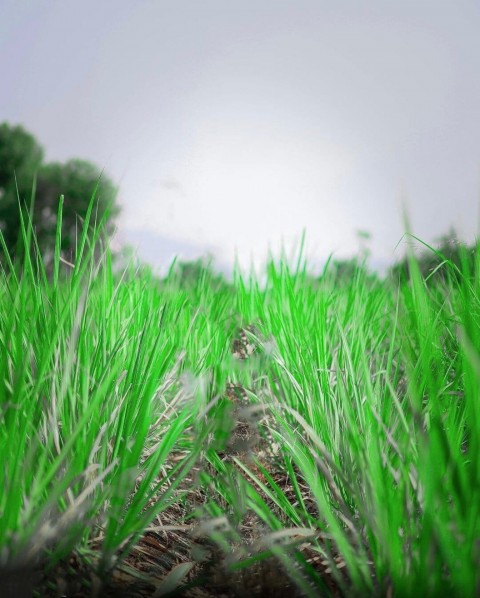 Atharv Raut Editing Background For Snapseed