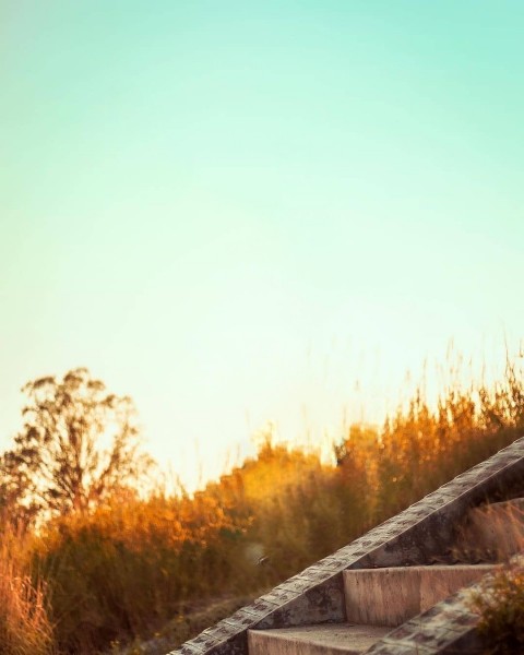 Atharv Raut Viral Editing Background HD (1)