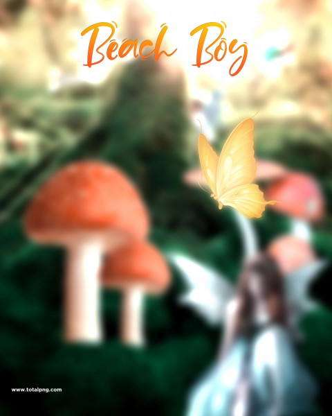 Beach Boy Viral Photo Editing Full HD Background