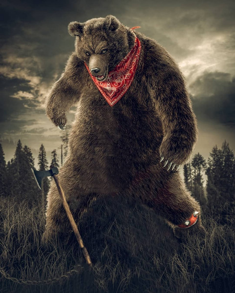 Bear Photo Editing Background Full HD For CB Picsart
