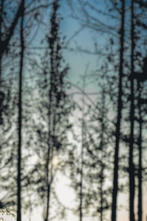 Best Forest Blur Background For Dslr CB Photo Editing