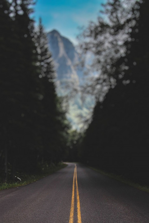 Best Forest Blur Background For Dslr CB Photo Editing 2