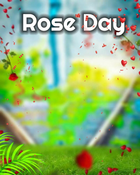 Best Rose Day Cb Editing Background For Photoshop & PicsArt
