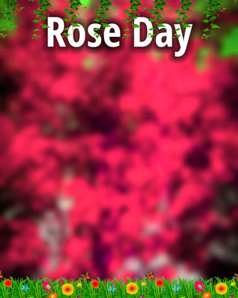 Best Rose Day Editing Background For Valentine's Day Picsart CB
