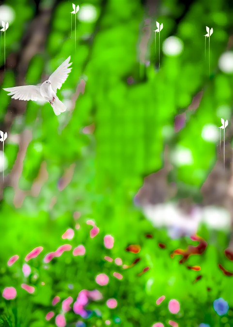 Bird Full HD CB Editing Background Download