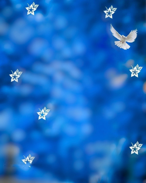 Bird Snapseed Photo Editing BAckground Full HD Download