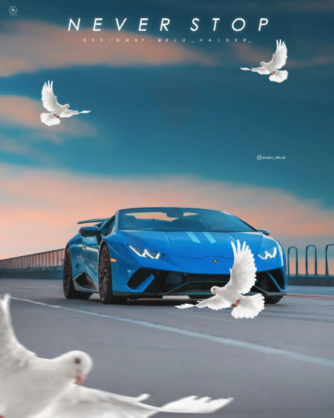 Bird With Car Editing Background Download For CB PicsArt