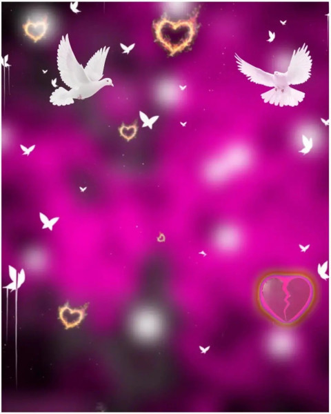 Birds PicsArt HD Background Download For CB Editing
