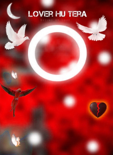Birds PicsArt New Editing Background Download HD