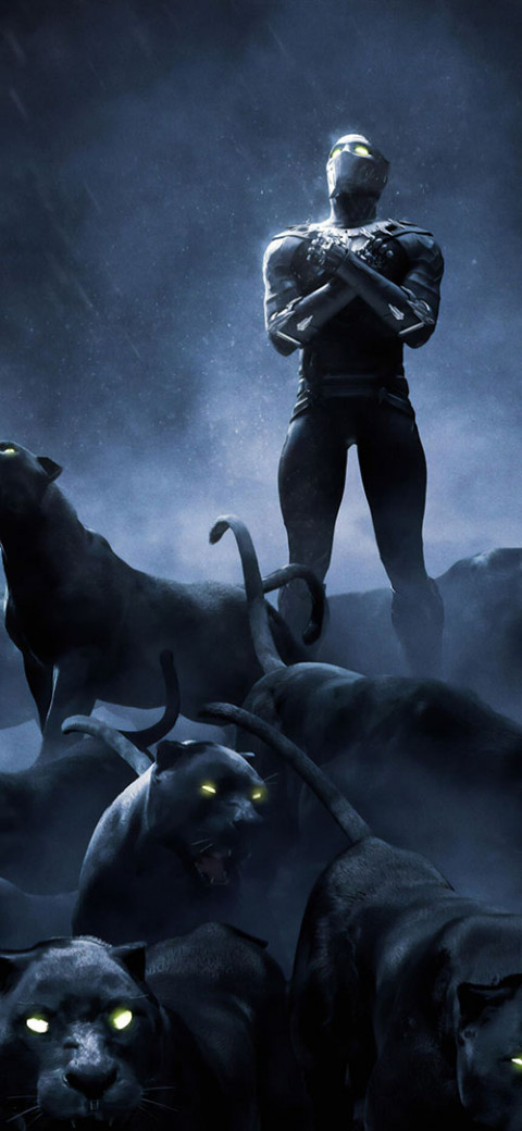 Black Panther Mobile Background Wallpapers For Screen HD