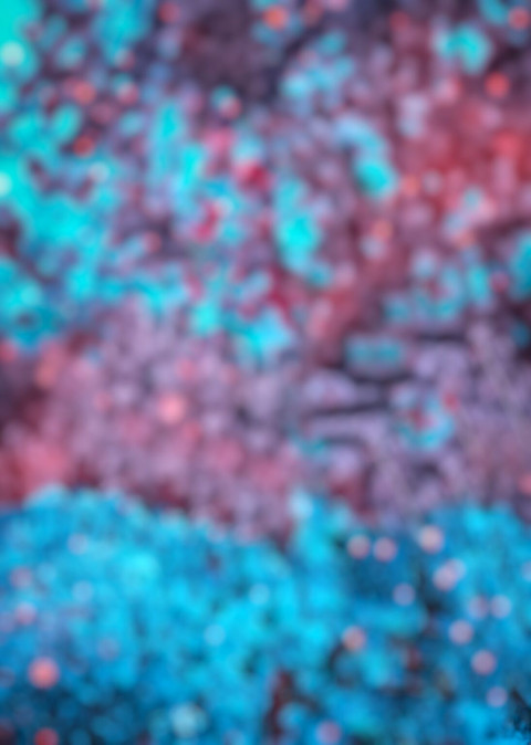 Blue Snapseed Cb Background Free Download