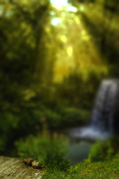 Blur Autumn Tree CB Picsart Background High Resolution Download