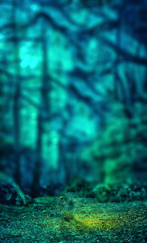 Blur Autumn Tree CB Picsart Background High Resolution Download