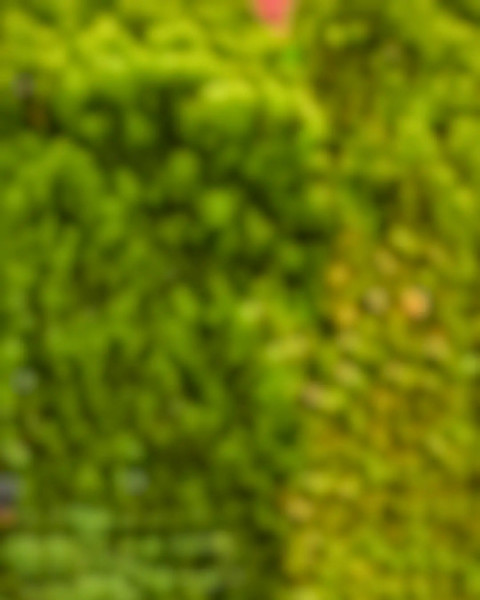 Blur CB Background Editing Download Picsart