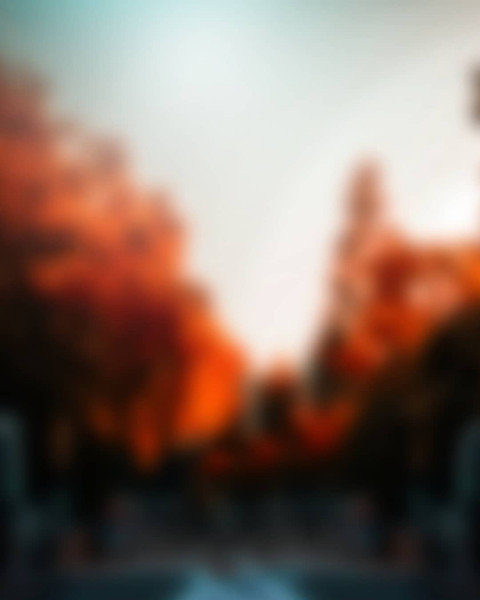 Blur Cb Background For Photo Editing