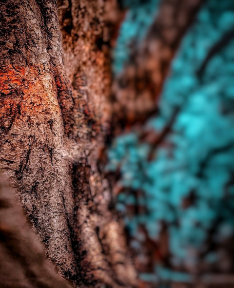 Blur CB Editing Background Full HD Download Free