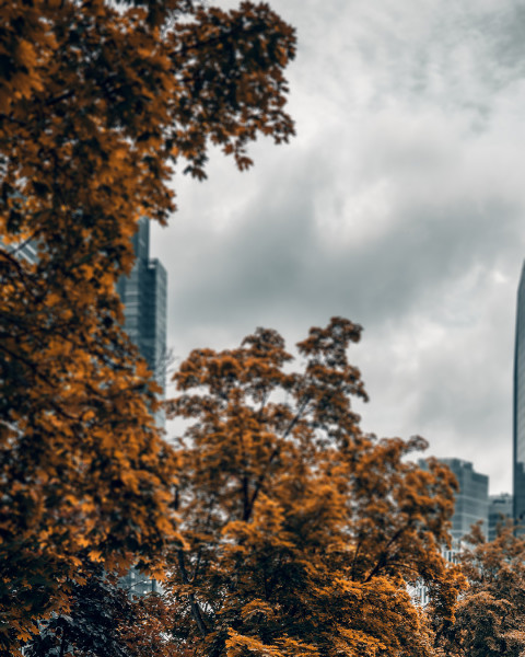 Blur CB Editing Nature Background Download