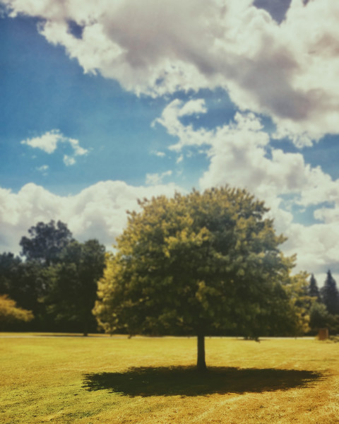Blur CB Editing Nature Background Download Pic