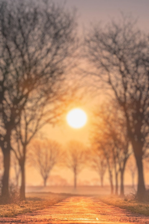 Blur Cb Editing Sunlight Background HD Download Free New