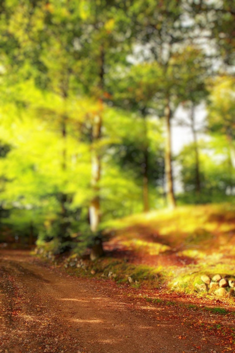 Blur CB Nature Editing Background HD For Photoshop Images
