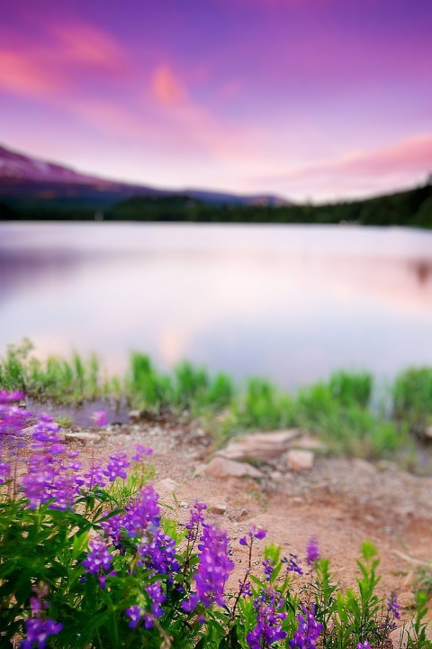 Blur CB Nature Editing Background HD For Photoshop New