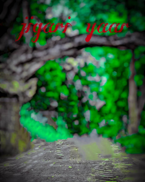 Blur Forest Backgreound CB Editing Green Wallpapers
