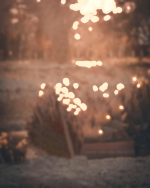 Blur Forest Backgreound CB Editing Wallpapers Free Pics