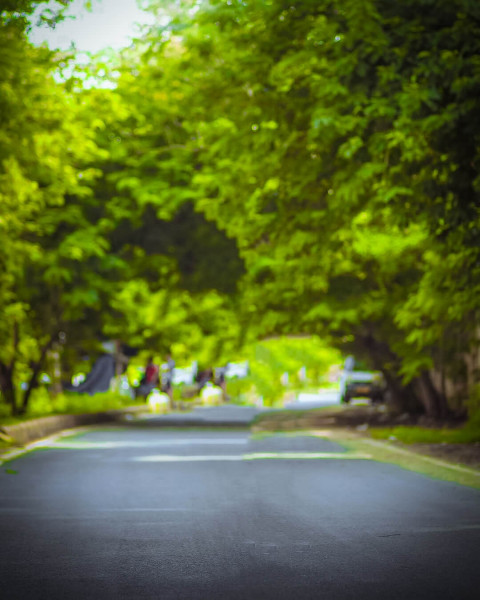 Blur Forest Road Backgreound CB Editing Wallpapers Free