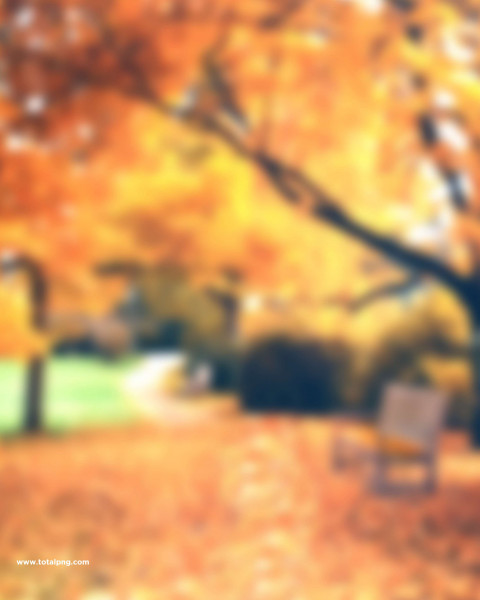 Blur Frest Picsart Photo Editing Full HD Background