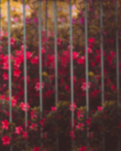 Blur Instagram Viral Photo Editing background Download HD (Free)