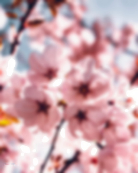 Blur Leaf Picsart CB Background Full HD Download