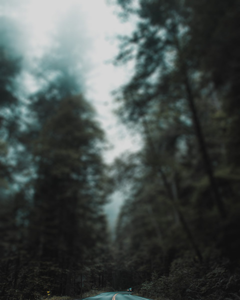 Blur Natue Photo Editing Cb Background download