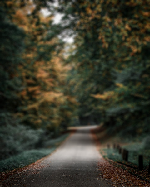 Blur Natue Photo Editing Cb Background download Free