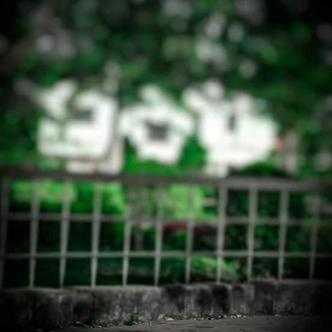 Blur Picsart Cb Photo Editing Background Hd