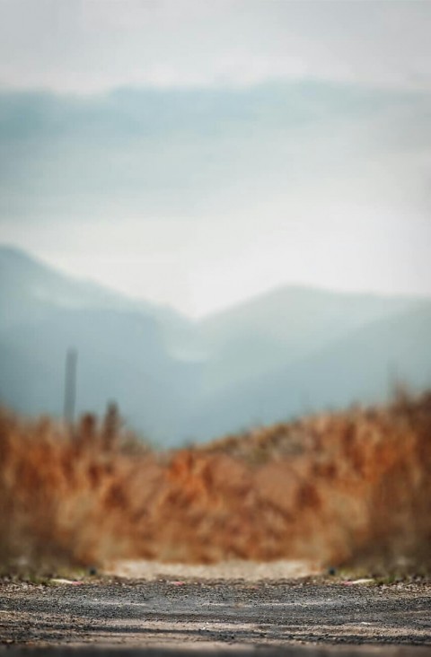 Blur Picsart Edit Background Full HD
