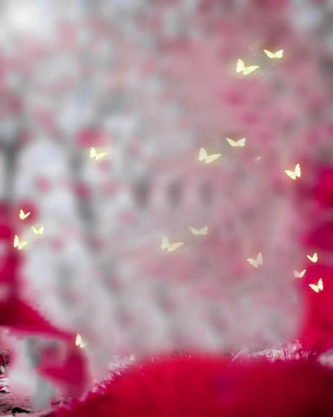 Blur Picsart Editing Background Full HD Images