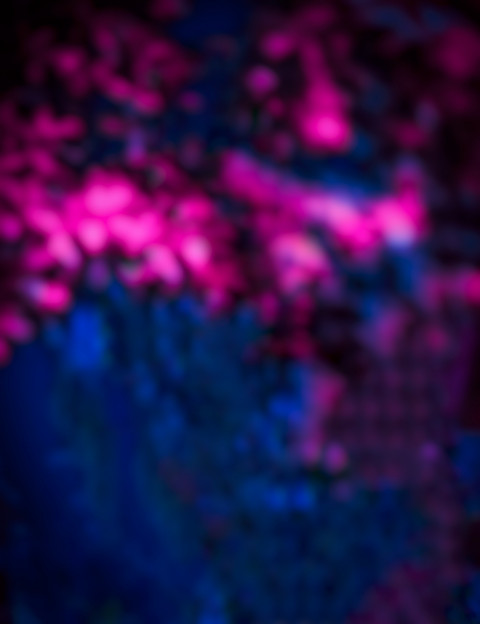 Blur PicsArt Photo Editing CB Background Full HD