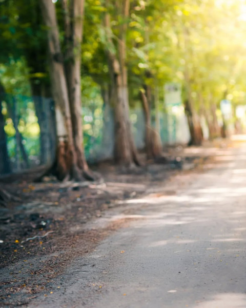 Blur Png Photo Editing Nature Road Background