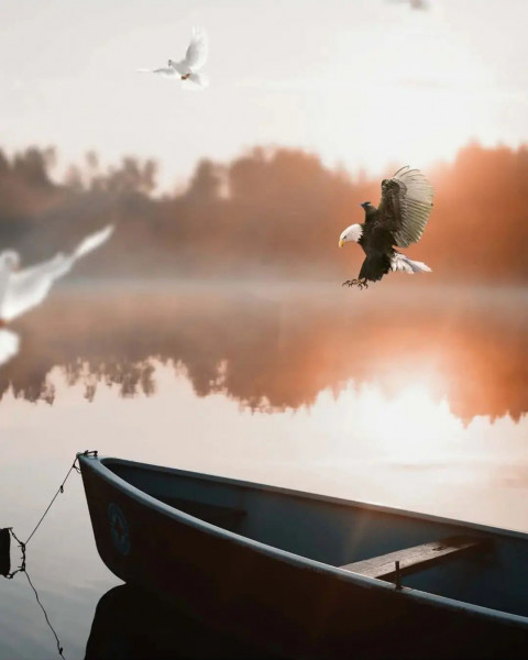 Boat Picsart CB Editing Background HD Download