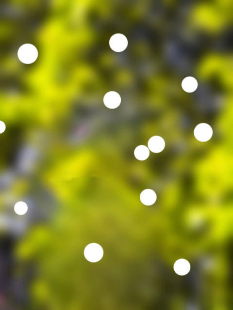 Bokeh CB Background New Full HD Download For Editing