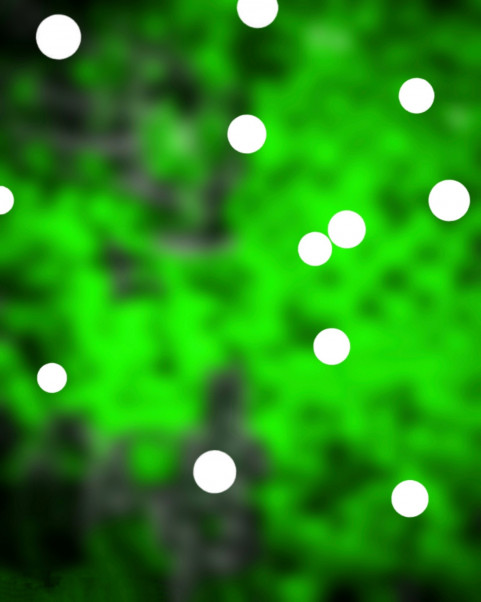 Bokeh CB Editing New Background Full HD