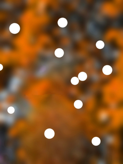Bokeh CB Photo Editing New Background Download Full HD