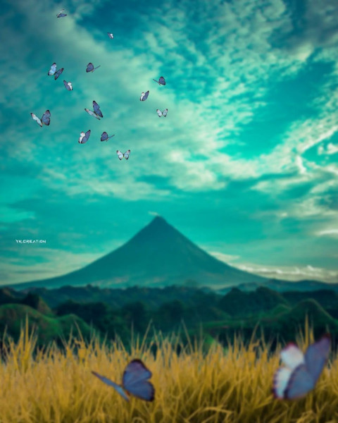 Butterflay CB Photo Editing Background HD Download