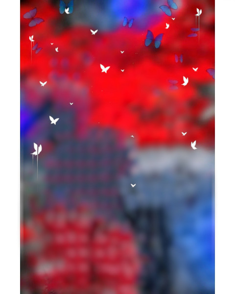 Butterfly And Blur CB Photo Editing Background Full HD