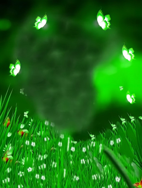 Butterfly CB Background Download Full HD For Photo Editing