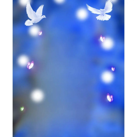 Butterfly Creative Photo Editing CB Background Full HD Download